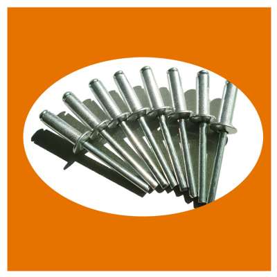 High quality al blind rivets with steel mandrel