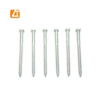 Zinc Coated Galvanized Concrete Nails, Construction Nails