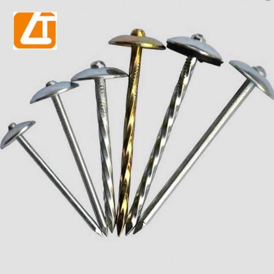 Low Price Umbrella black Big Head Twisted smoothshank galvanized  Roofing Nail Smooth umbrella roofing nail