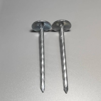 Hot selling 9 BWG*2.5'' electro galvanized umbrella roofing nail