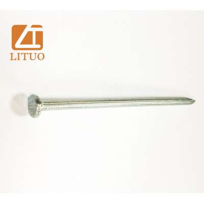 E.G steel fluted spiral shank concrete nail for construction