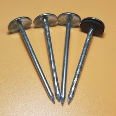 Umbrella Head Smooth Shank Roofing Nails/Corrugated Nails Galvanized Twisted Shank