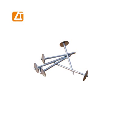 Q195 iron rod umbrella head roofing nail