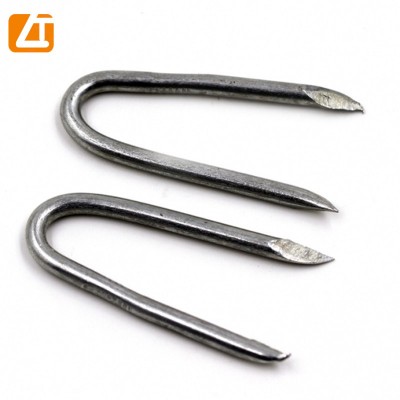 Manufacturer Supply U Type Nails/Fence Staples