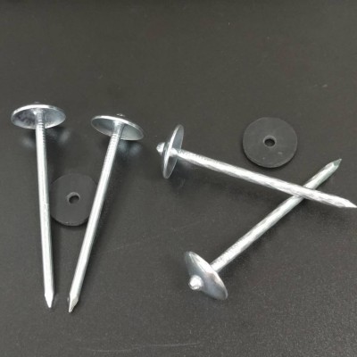 Galvanized umbrella roofing nail MADE IN CHINA