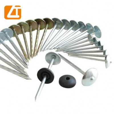 umbrella flat head  head smooth roofing nail galvanized twist shank wire nails  roofing nails with smooth shank