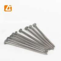 High quality factory supply common round iron wire nails pulido clavo