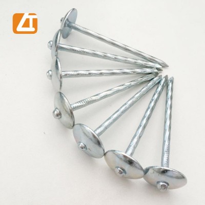 umbrella head polishing galvanized roofing nail 9Gx2.5''